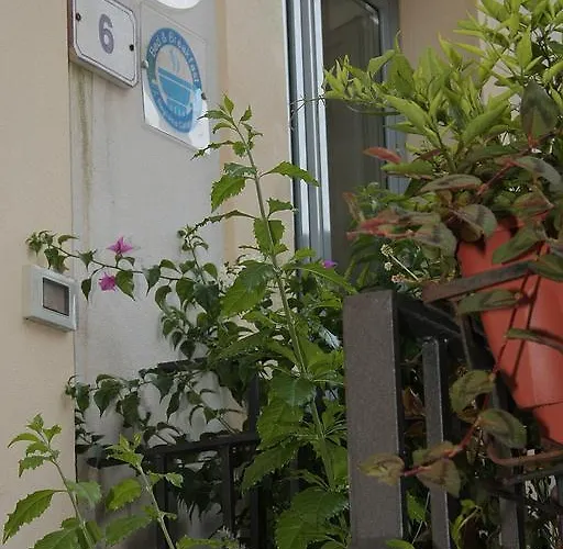 Alojamento de Acomodação e Pequeno-almoço Adriana